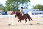 SBM_16726