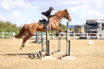 SBM_004655