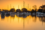 Marina Sunrise