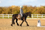 SBM_003267