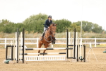 SBM_023343