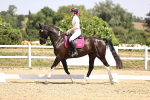 SBM_004050