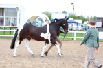 SBM_00275