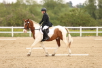 SBM_006892