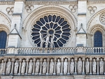 Dotre Dame de Paris-3
