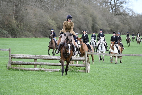 WJ7_0962