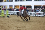SBM_004888