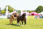 SBM_06661