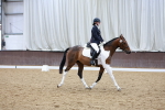 SBM_003464