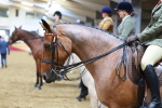 SBM_09458