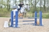 BPP_3464