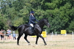 WJ7_9888