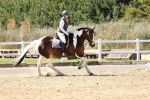 SBM_003407