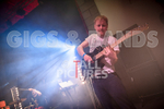 Pigsx7-79