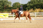 SBM_008066