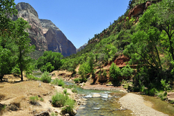 Zion National Pk. -  2012 portfolio