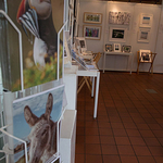 LightCatchers Aug 2014 - 013