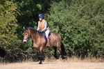 WJ6_8782