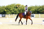 SBM_009575