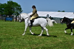 SBM_03751