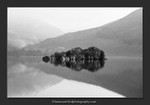 Convergence