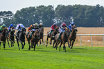 160726-Race 4-Park Lane Penny-4650