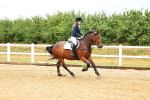 SBM_000537