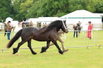 SBM_00484