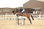 SBM_008982