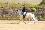 SBM_009307