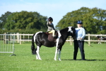 SBM_36813