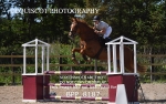 BPP_8187