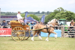 SBM_06976