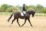SBM_005841