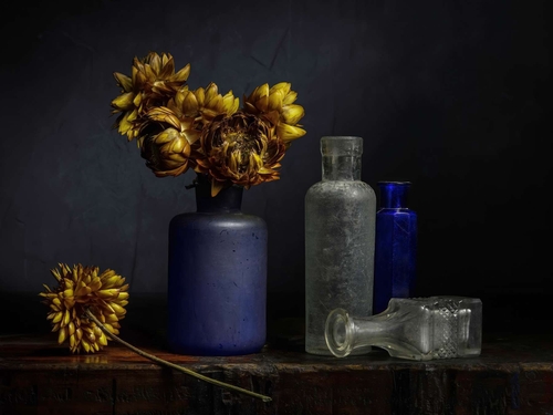 Everlasting Flowers. Light-painted still-life photograph featuring Everlasting Flower (Helichrysum) blooms. Lit with…