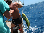 070108 Catching Dolphin Fish