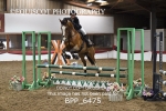 CLASS 4 British Novice/ 90cm Open portfolio
