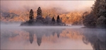 Through the Mist