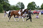 WJ6_6070