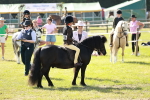 SBM_12584