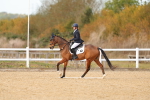 SBM_010586