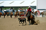 3HRodeo8-11-25_PRCASteer_06590_