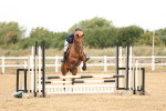 SBM_022963