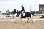 SBM_04935