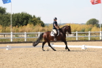 SBM_006411