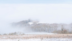 Snow on Bales.