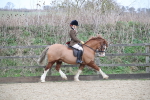 SBM_007162