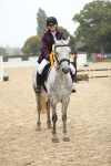 J16 - Junior Pony 75cm Championship portfolio