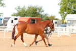 SBM_16597