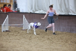 SBM_004775